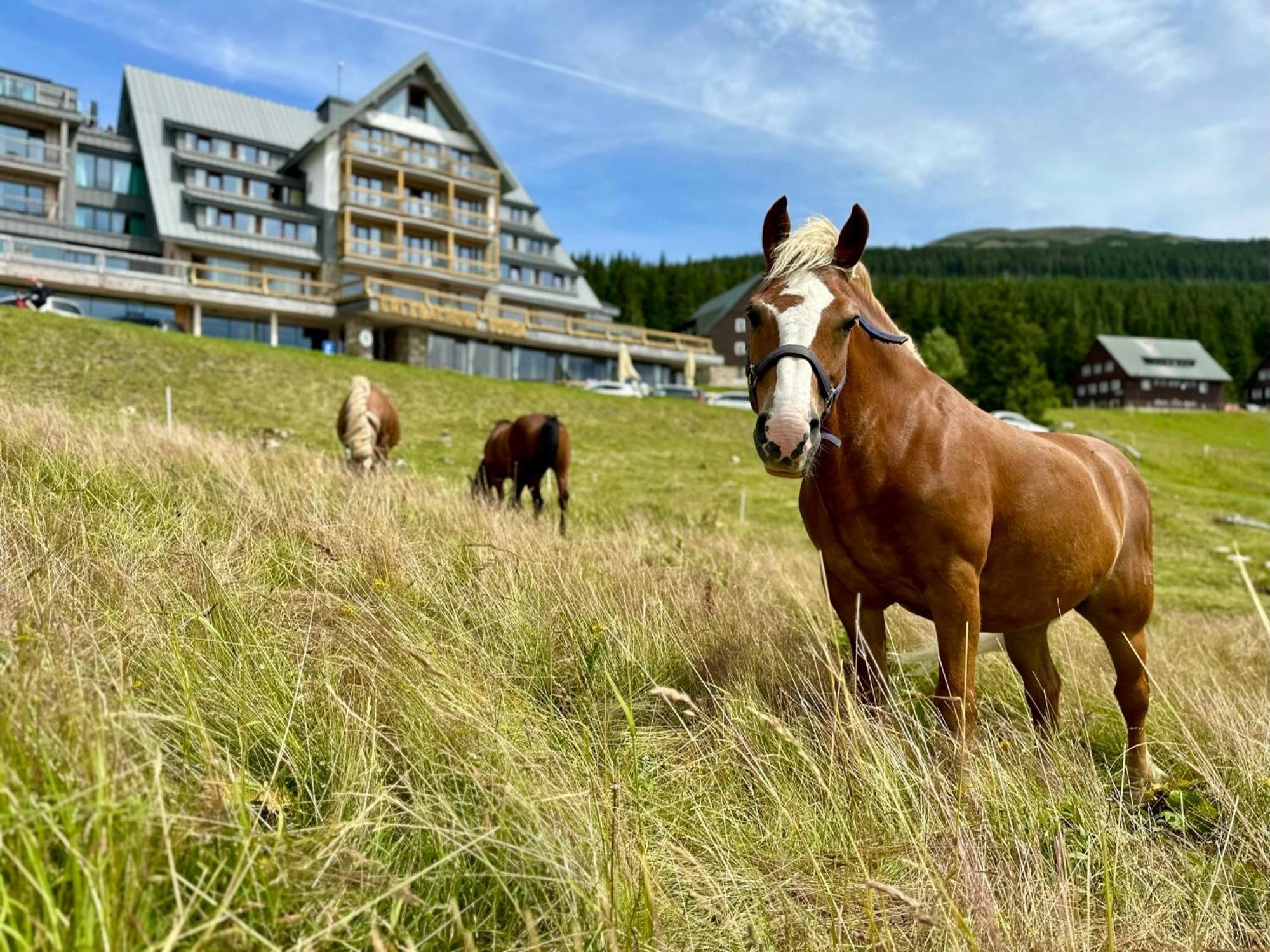 Špindlerŭv Mlýn Erlebachova Bouda, Hotel - Resort Svaty Frantisek מראה חיצוני תמונה